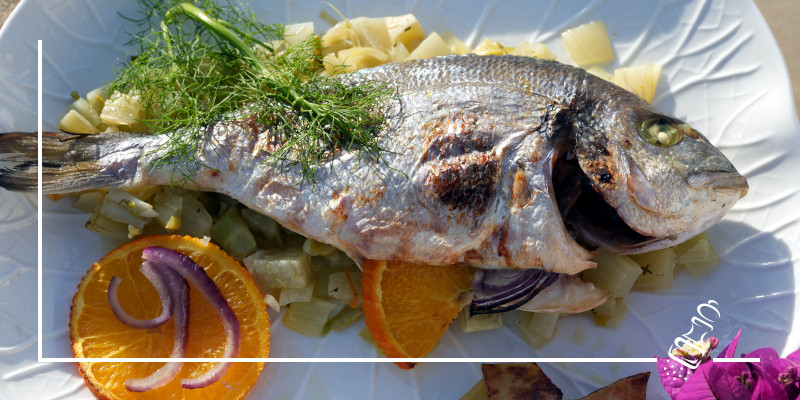 dorade auf fenchel orangenbeet