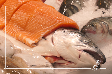 lachs mit mariniertem gemuesepotpourri