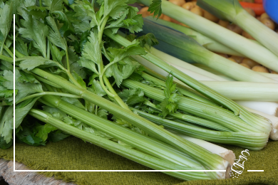 zanderfilet an biersauce