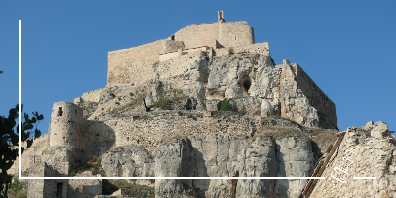 morella