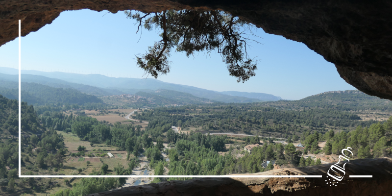 morella