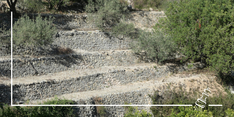 trockensteinmauer
