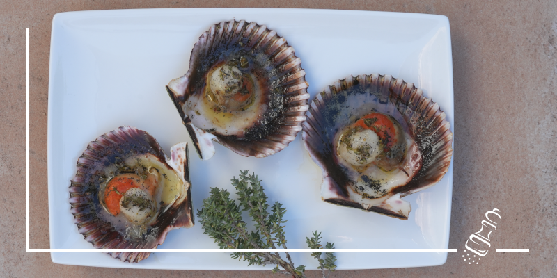 zamburinas al horno